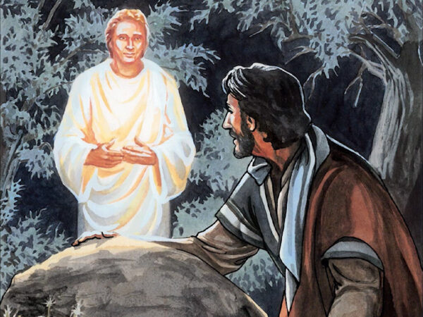 Hành Trình Tâm Linh Như Đi Tìm Trâu  - Phần 2/2